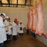 meat judging contest