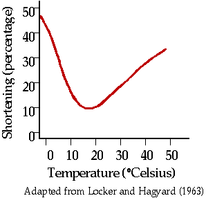 Cold shortening graph