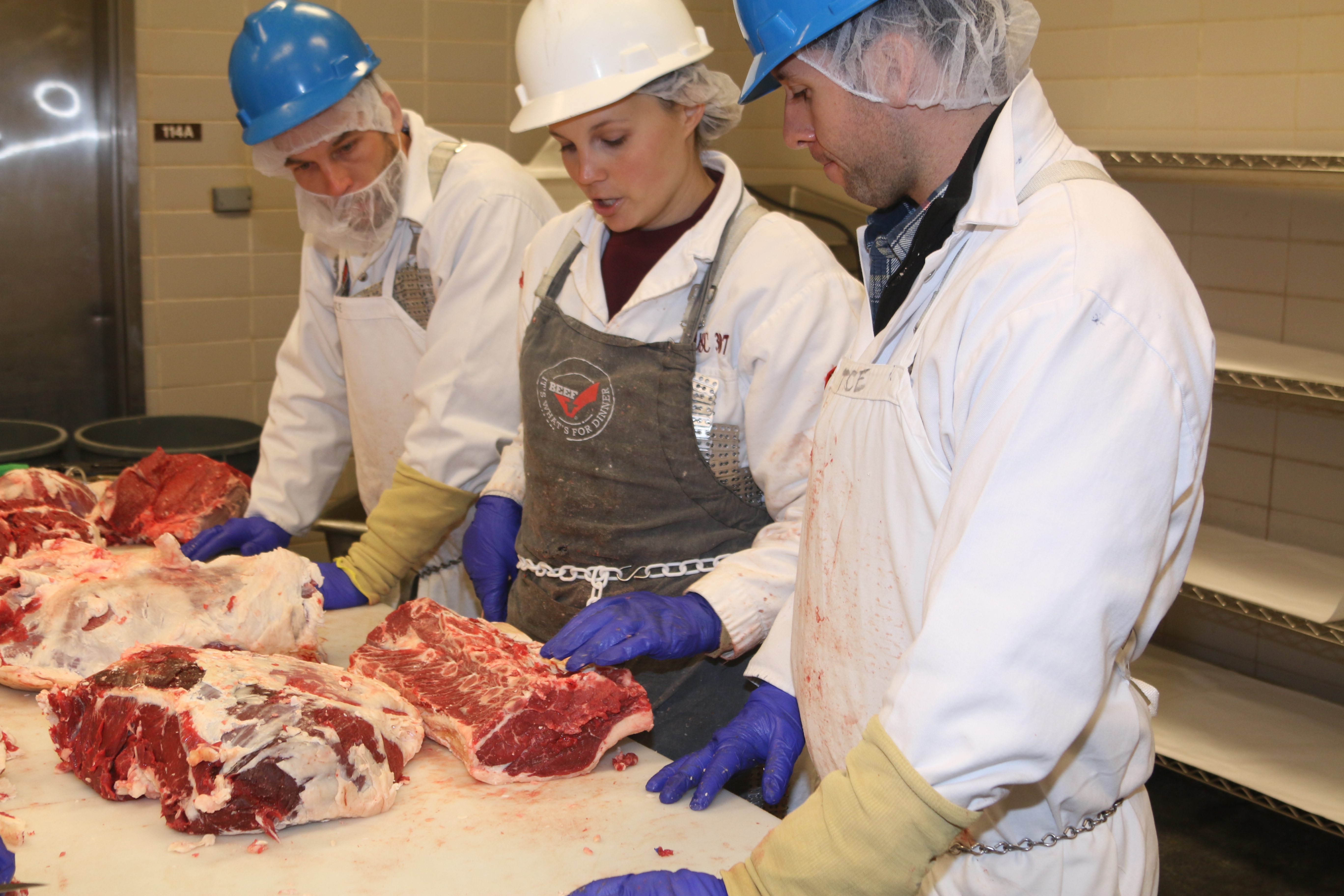 Lindsey Mehall teaching beef fabrication Beef 101 2013