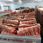 Fore ribs aging