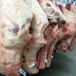Beef hindquarters