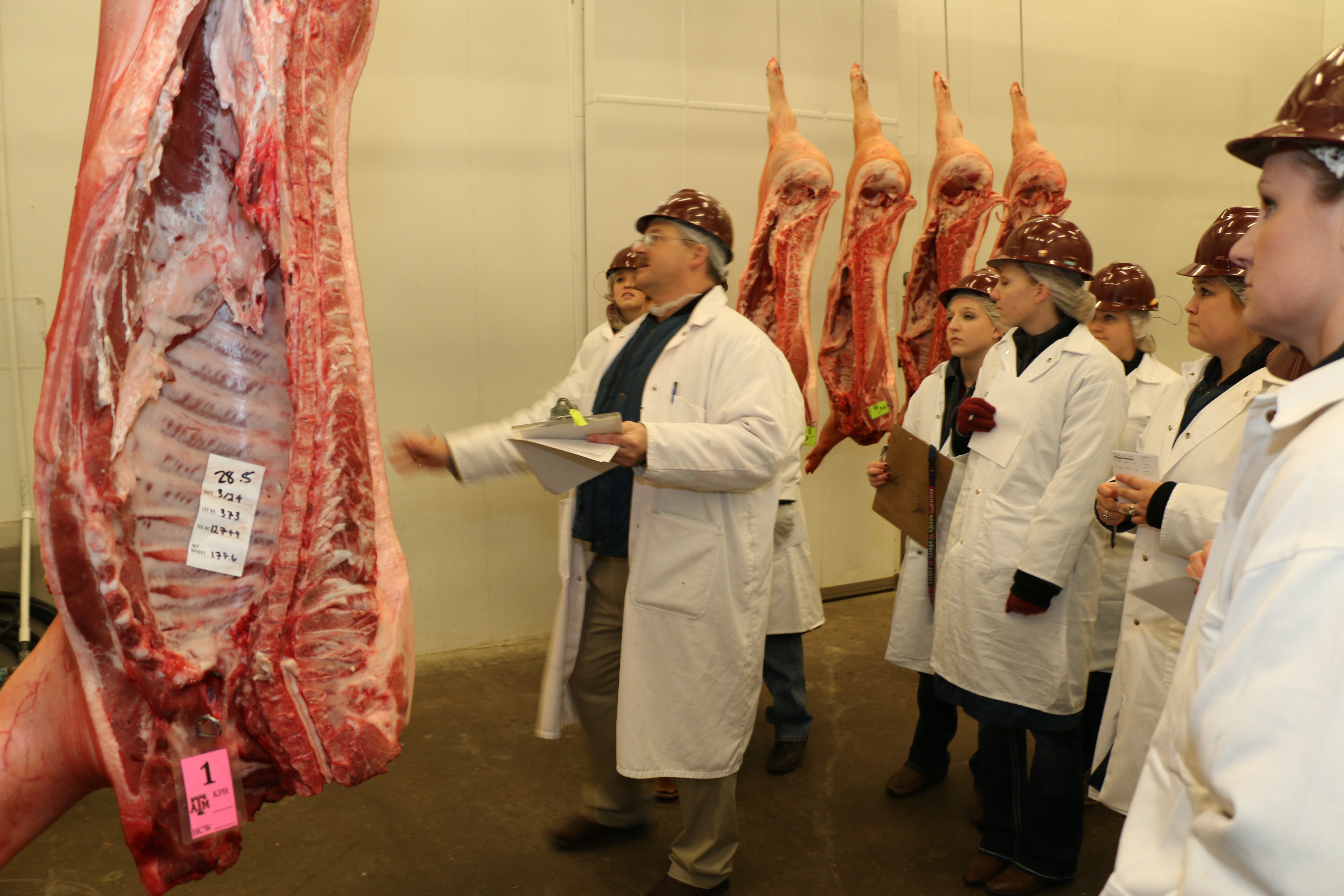 Davey Griffin and members of the Meat Judging Team