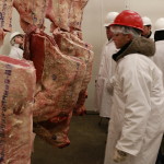 Participant placing beef carcasses
