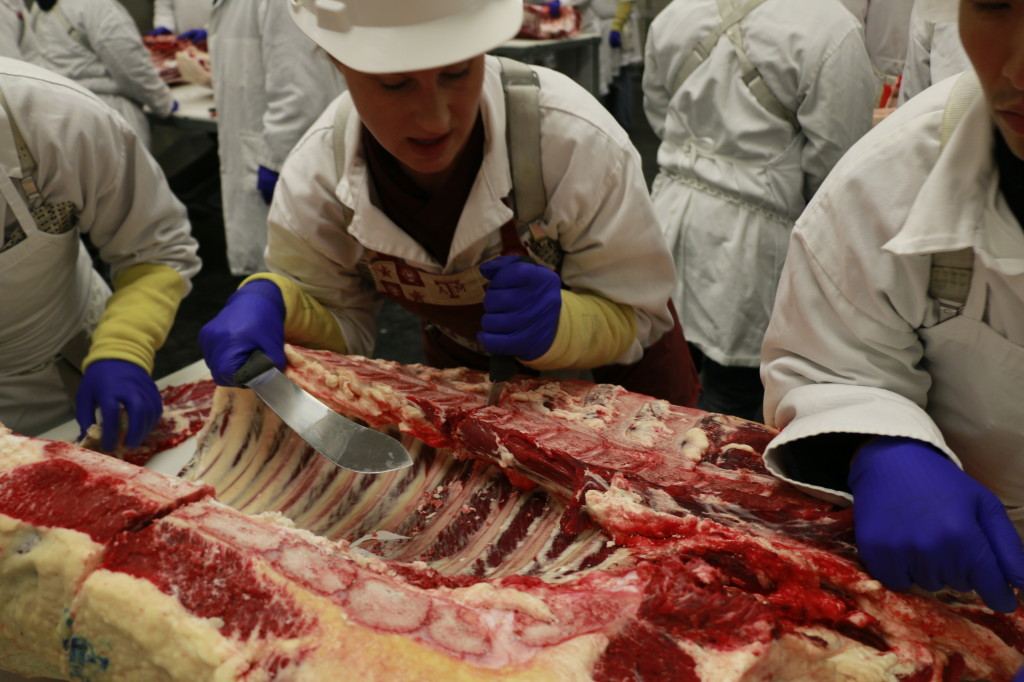 Crystal Waters leading Beef 101 group