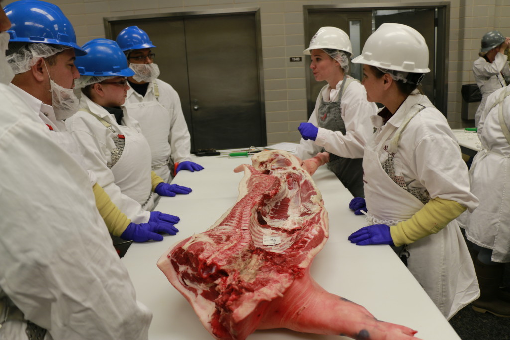 Hillary Martinez and Leslie Frenzel leading Pork 101 cutting group