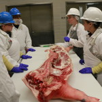 Hillary Henderson and Leslie Frenzel leading Pork 101 cutting group