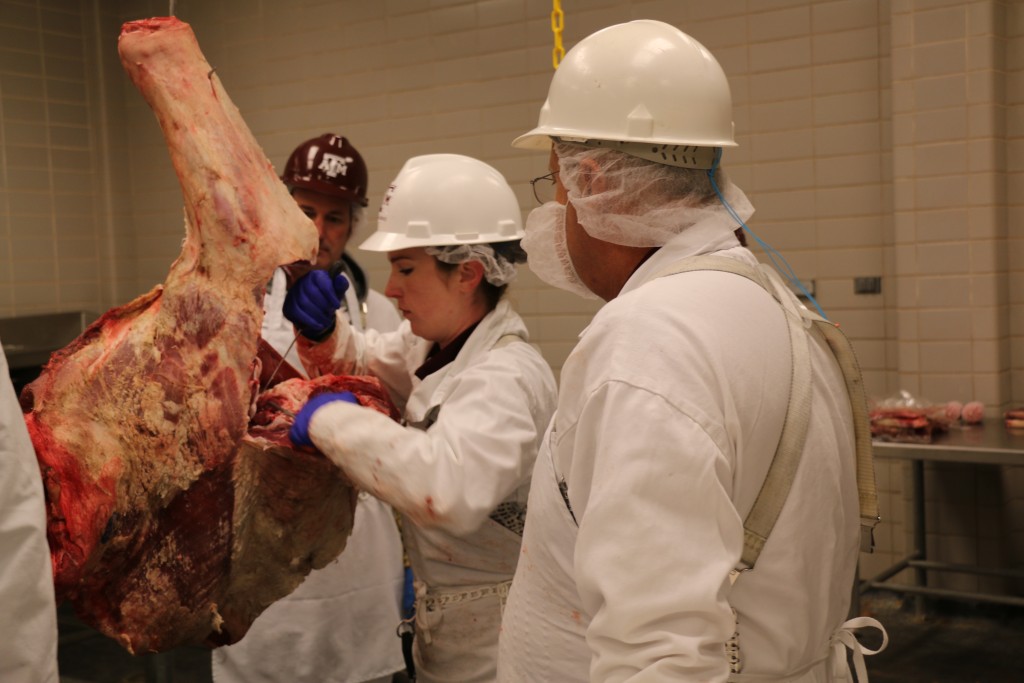 Jeff Savell (right) observing Clay Eastwood preparing beef clod for removal
