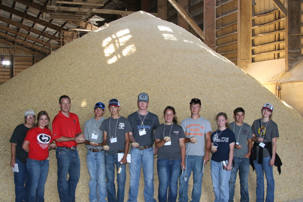 Youth Beef 706 touring cattle feed yard