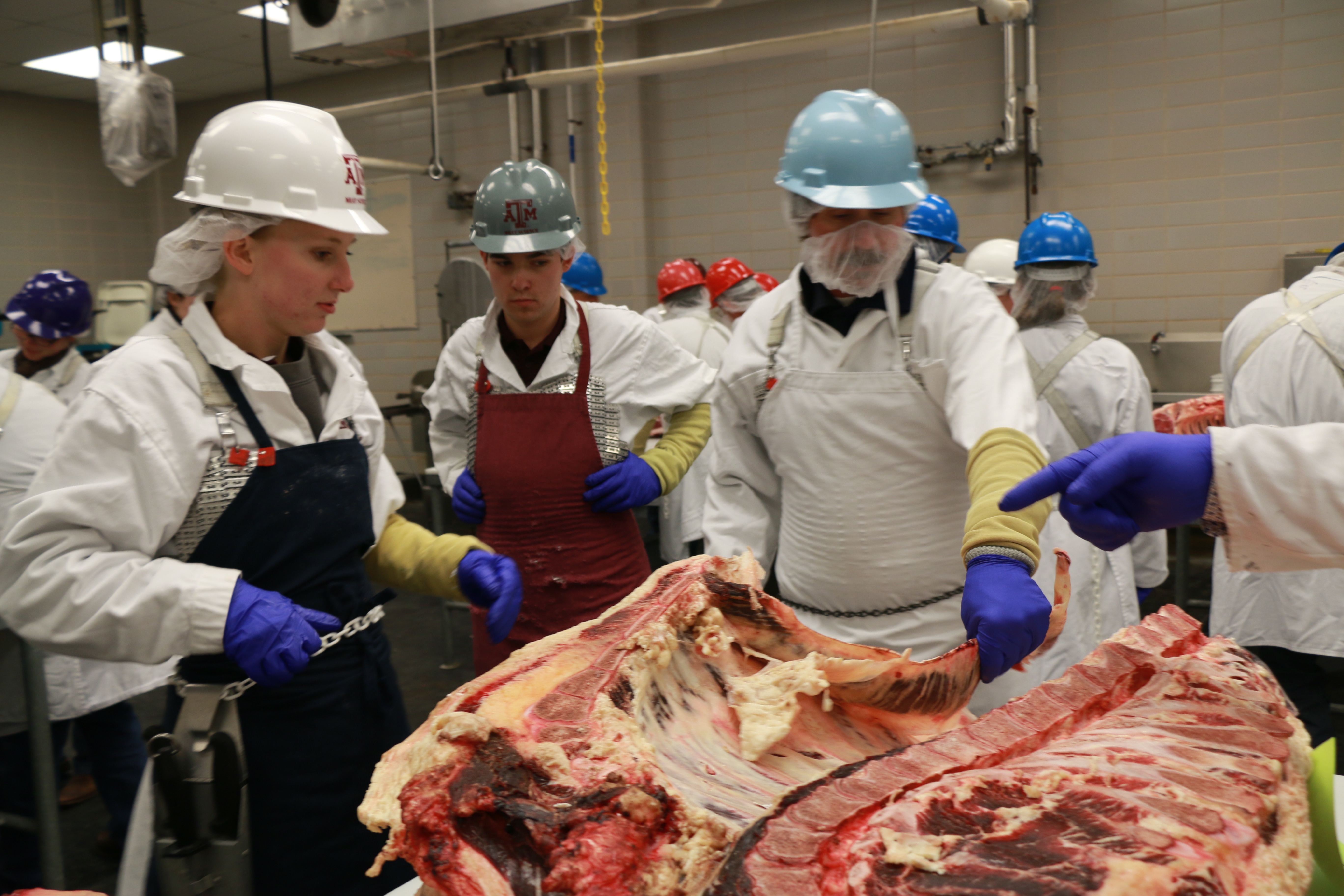 Courtney Boykin leading cutting group in Beef 706