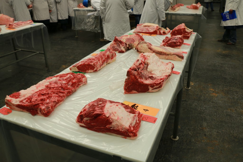 Beef specifications at workout