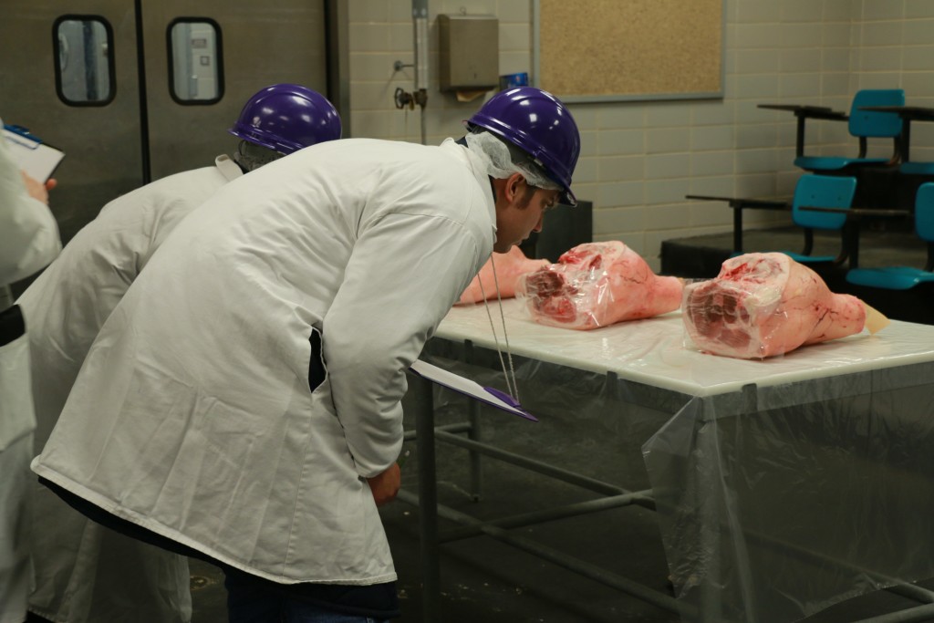 Placing hams at workout