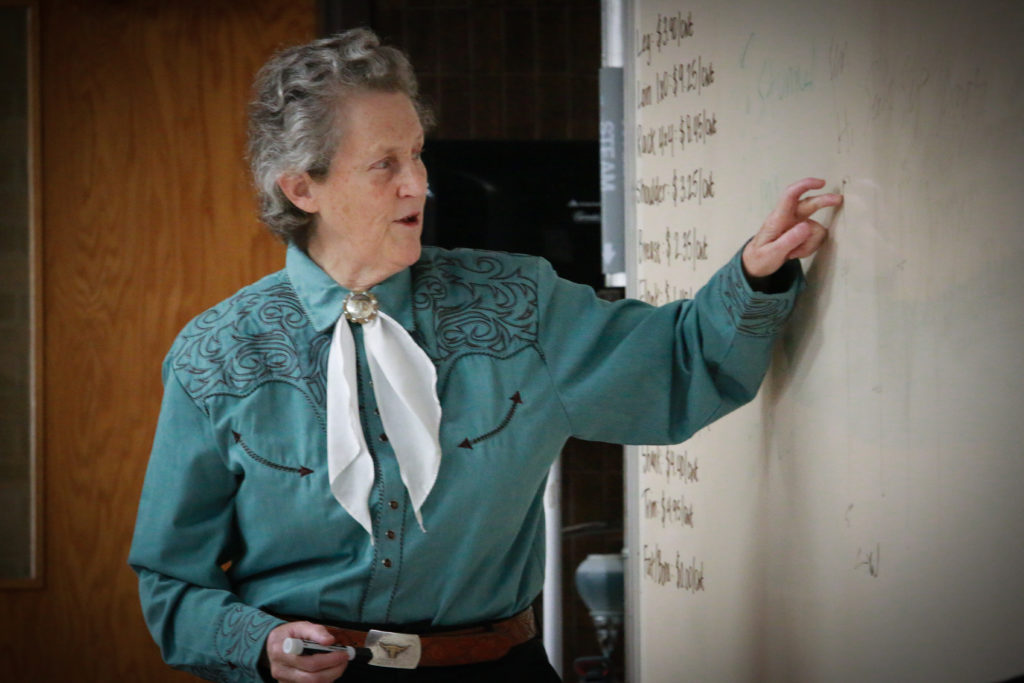 Dr. Grandin lecturing in ANSC 307, "Meats"