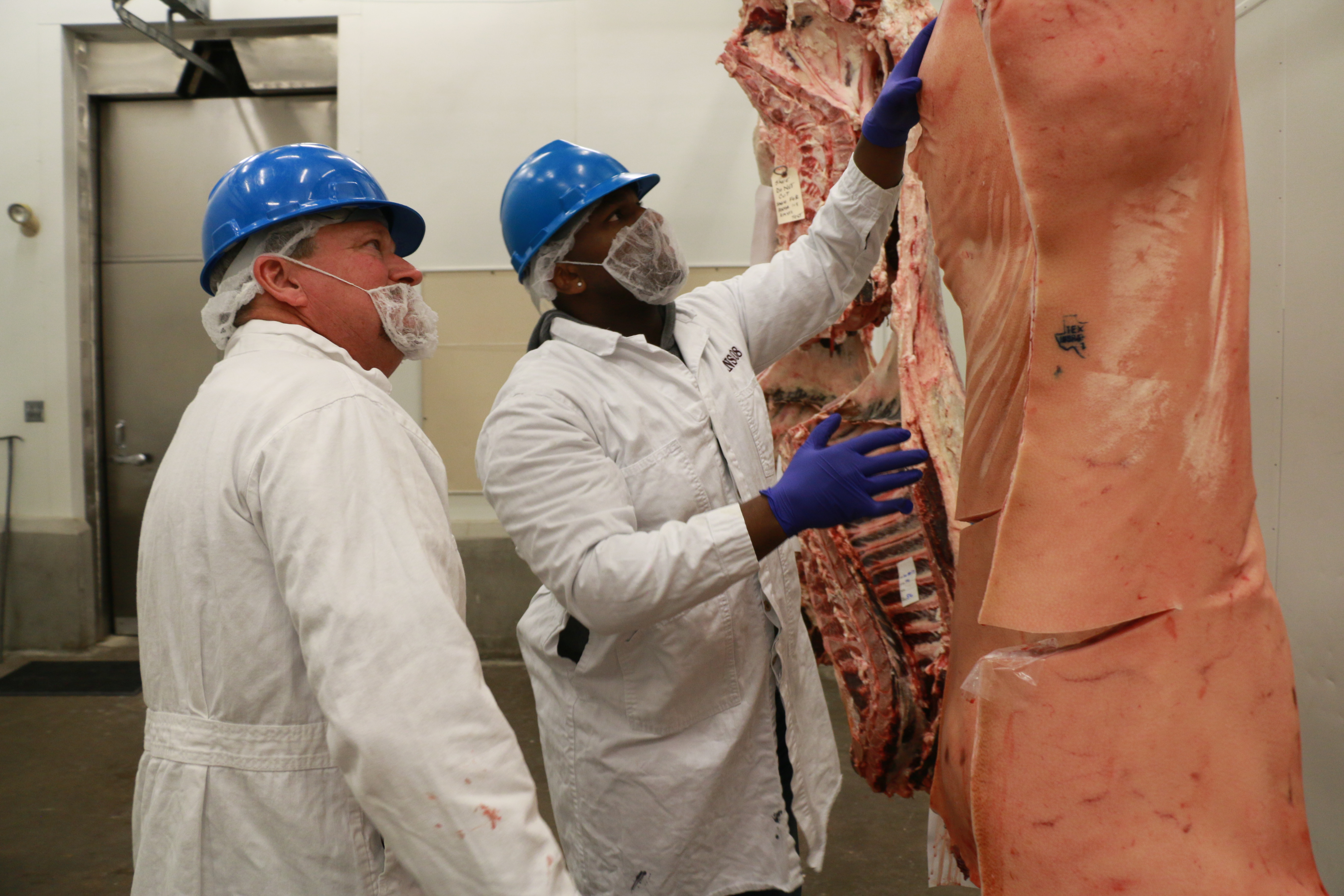 Ray Riley and Kirk Morrison looking over pork carcasses