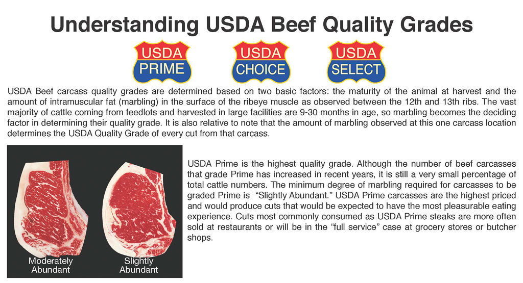 Understanding USDA beef quality grades
