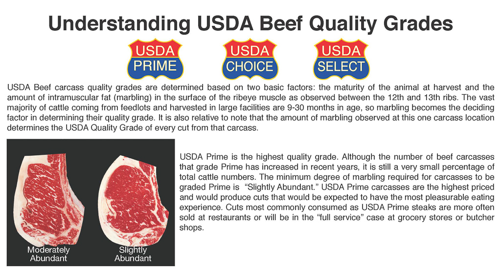 Beef Grades 101: What Makes USDA Prime Beef Superior? – Market House