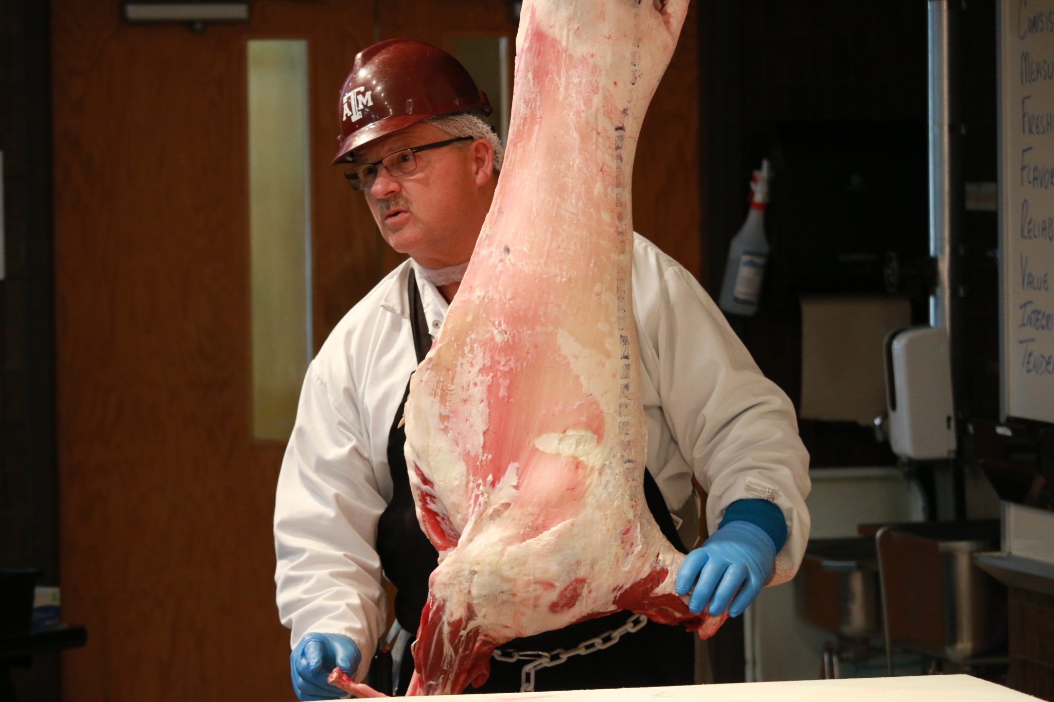 Davey Griffin discussing lamb carcass cutting at the Center of the Plate Training