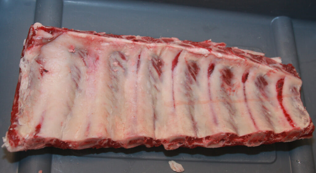 124 Beef Rib Back Ribs (medial view) 2