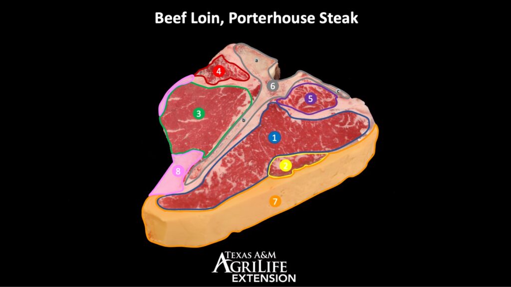 Porterhouse steak with muscles identified