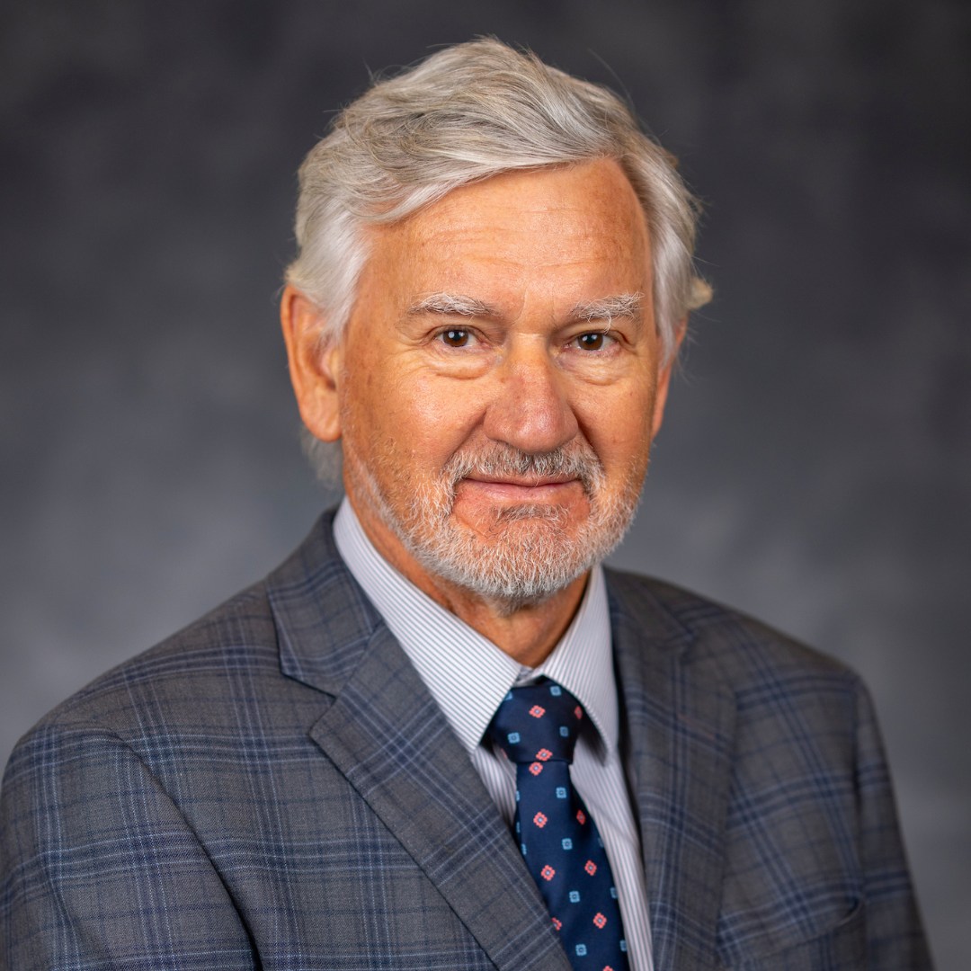 Man with wavy grey hair in a suit and tie smiling