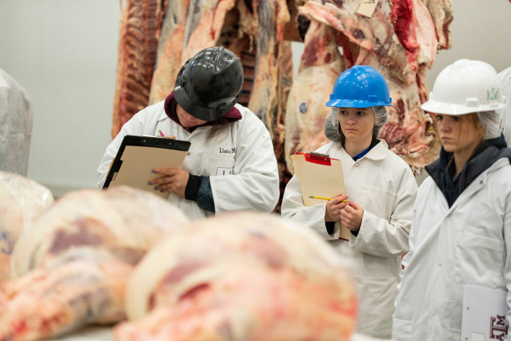 Three female students in white coats and hard hats inspecting large cuts of meat.