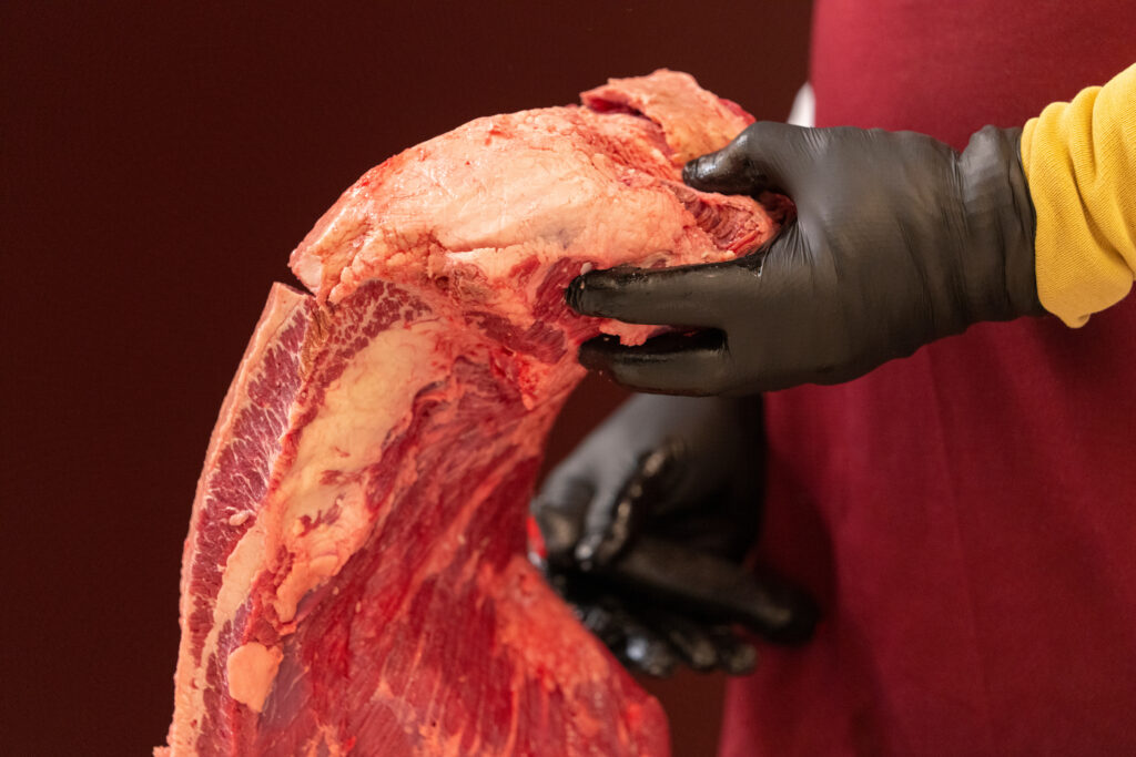 A pair of gloved hands holding a large cut of meat.