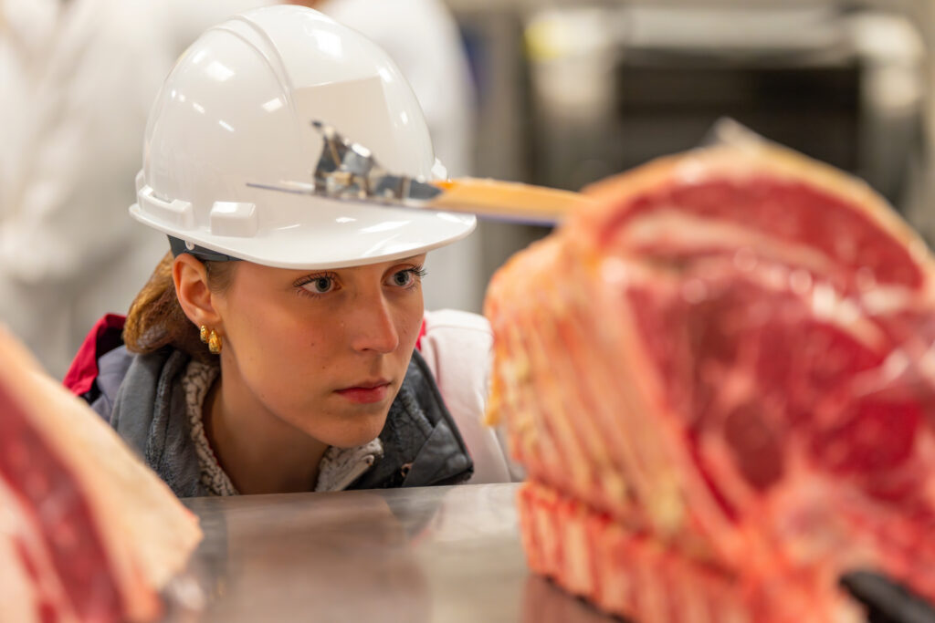 Student wearing helmet judging large cut of meat.