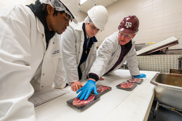 students in hard hats and white coats inspecting packaged of meat