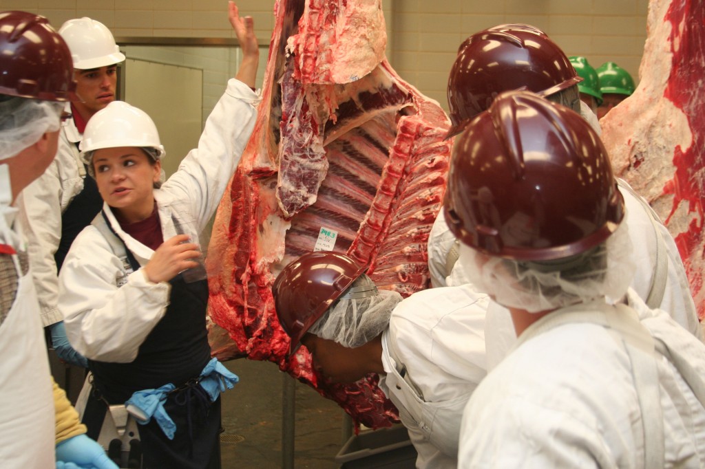 Woman wearing helmet and apron talks next to hanging meat carcass in room as five others watch.