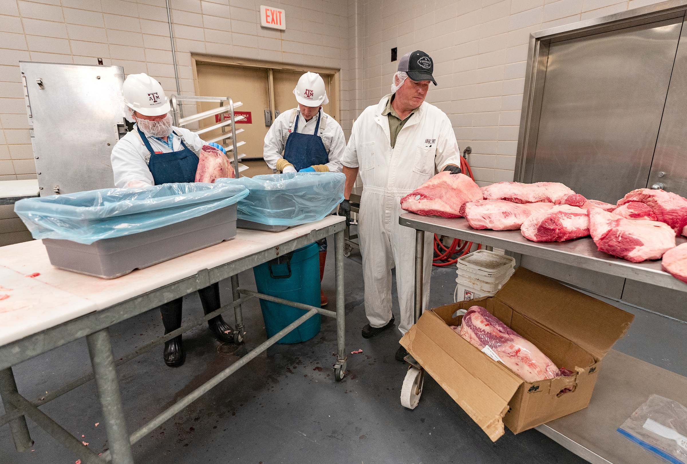 Three men wearing protective clothing and hats work on large cuts of meat in processing room.