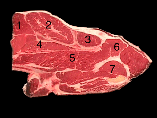 A slab of meat on a black background with different numbers digitally placed on it to identify the different part of the meat. 