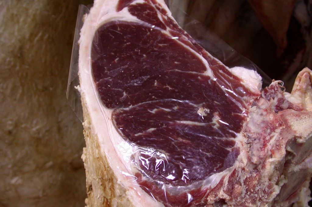 A piece of meat to show an example of dark cutting spots. 