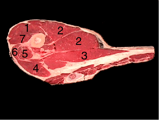 A beef chuck arm streak with a black background. Different parts of the meat are labeled with numbers identifying the different parts. 