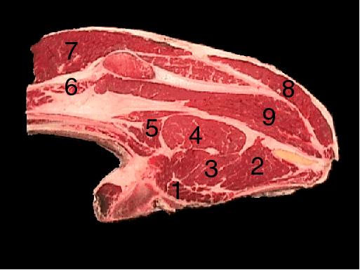 A beef chuck blade streak with a black background. Different parts of the meat are labeled with numbers identifying the different parts. 