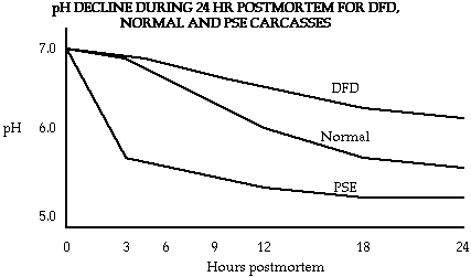 A diagram showing pH decline during 24 hour postmortem for DFD, normal and PSE carcasses. They all decline relatively similar. There is a spike decrease for PSE between 0-3 hours. PDF has highest pH closest to 7.0 followed by normal and PSE ending with the lowest pH. 