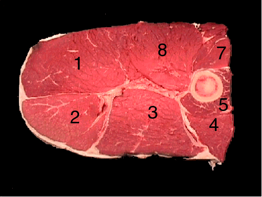 Beef round streak with a black background. Different parts of the meat are labeled with numbers identifying the different parts. 